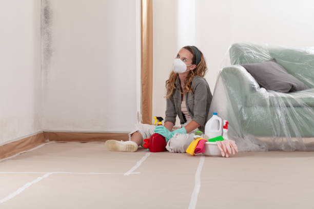 Reliable Mold Cleanup contractor in Mount Arlington, NJ by Cheap Mold Removal